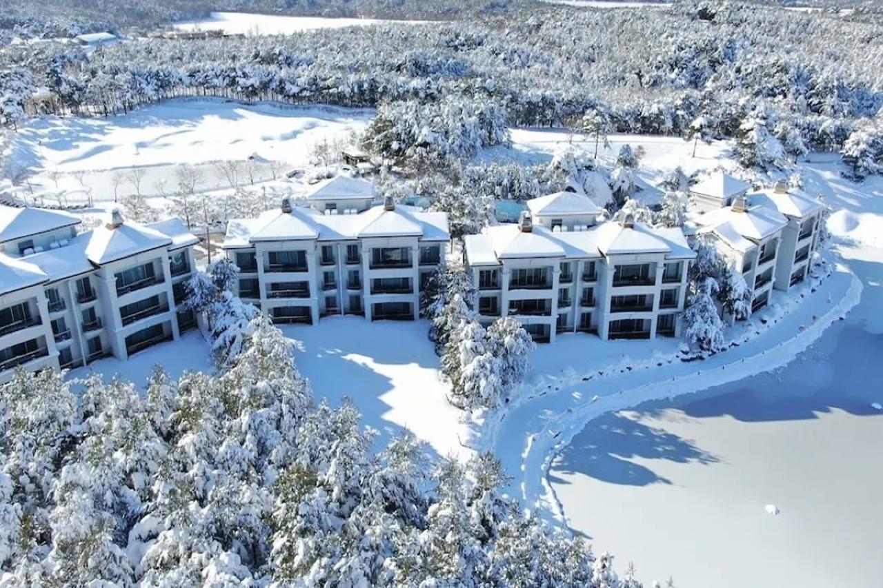 Pineridge Hotel Szokcsho Kültér fotó